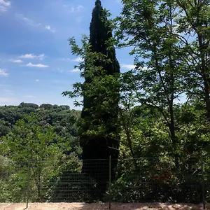  Apartment La Casa All'oliveto